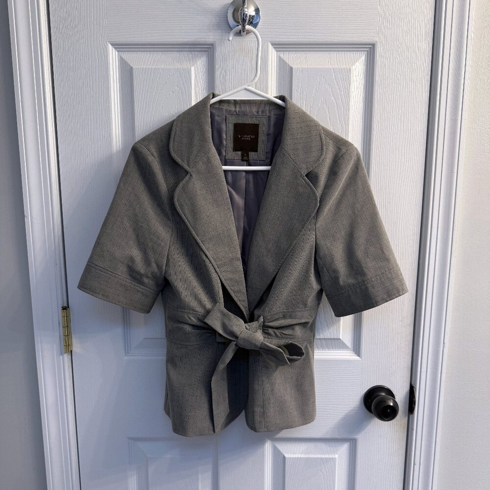 The Limited Gray Pinstripe Skirt Suit Set – Jacket Size Medium / Skirt Size 8